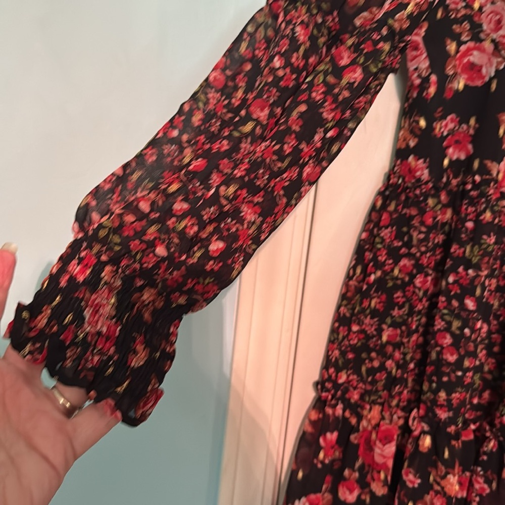 CeCe Black and Red Floral Kids Dress DD‎ - Picture 2 of 8